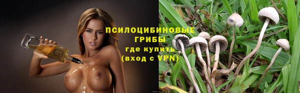 дурь Лабытнанги