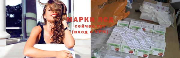 СК Липки