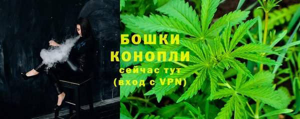 спиды Ладушкин