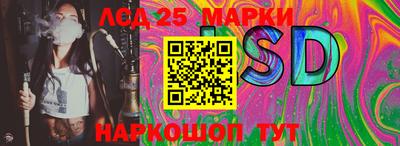 гашик Гай