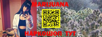 сатива Апшеронск