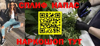 гашик Гай