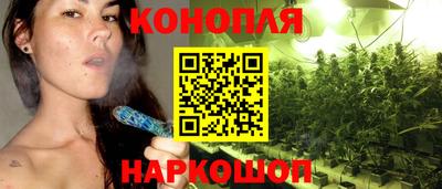 гашик Гай
