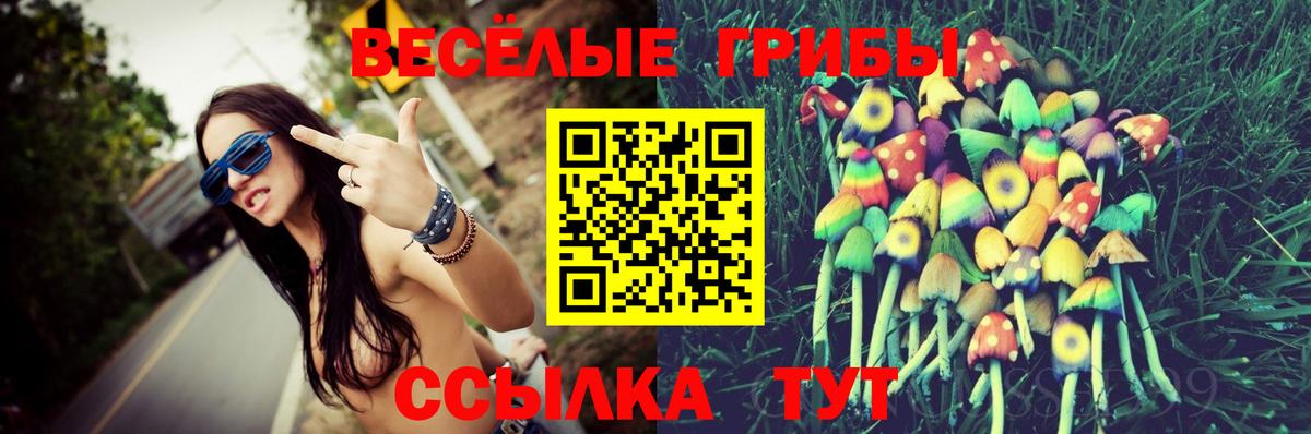 Псилоцибиновые грибы Psilocybine cubensis  Вход с VPN  где продают   Миллерово 